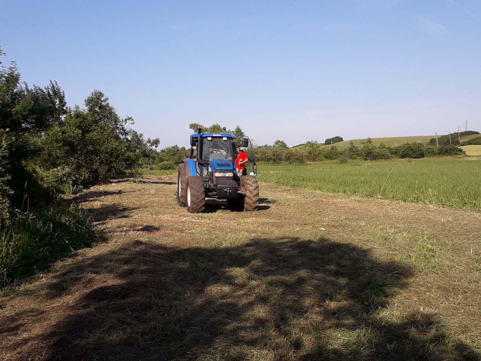 Lucrări de curățare 2011