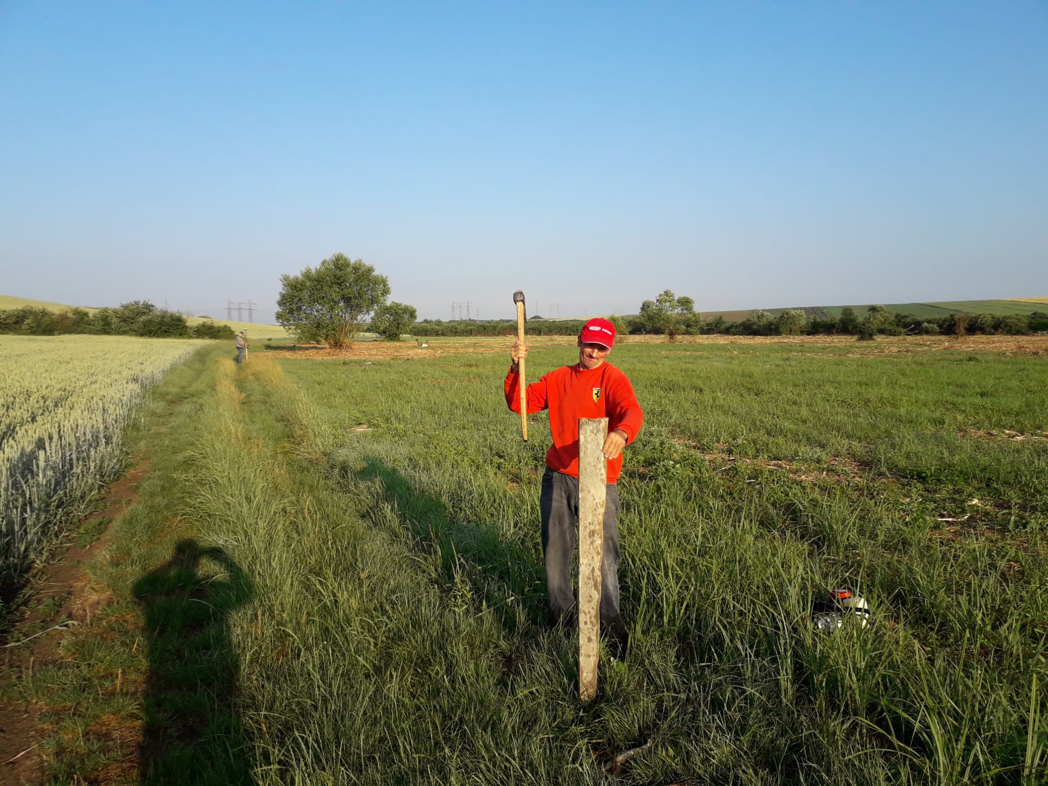 Primii pași ai fermei BiodariantyFarm