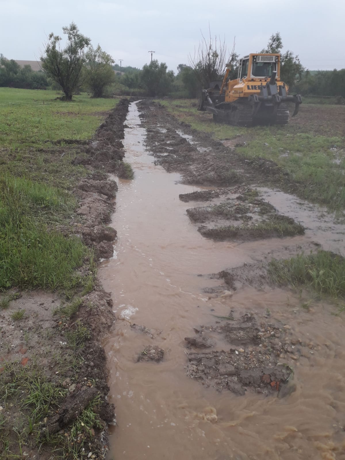 Drenaj și curățarea terenului