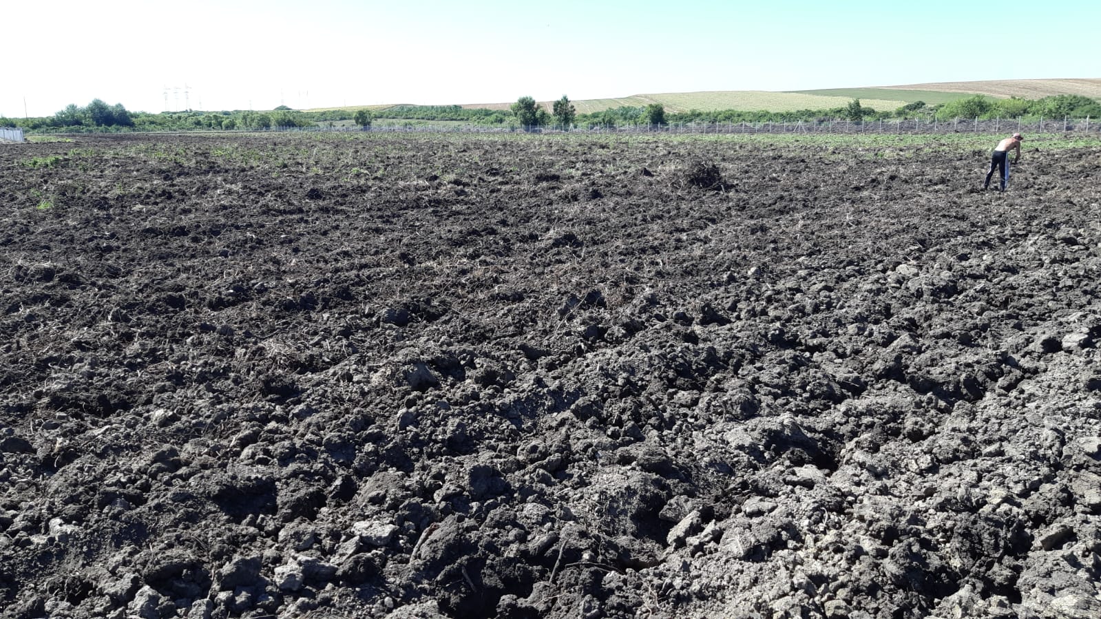 Nivelarea terenului pentru livadă