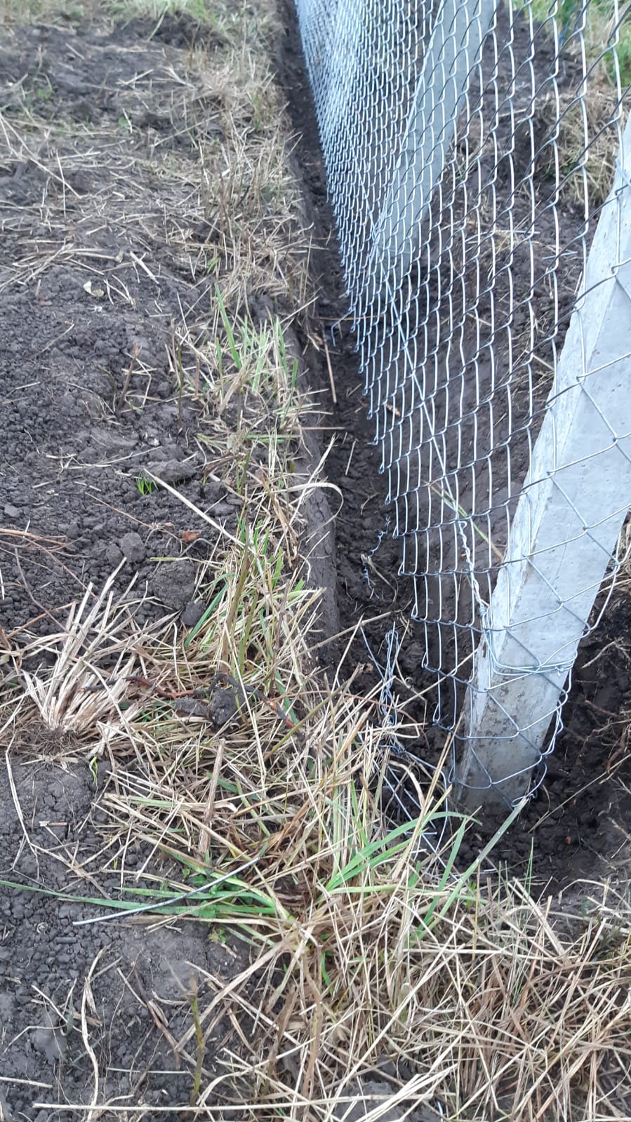 Pregătirea solului pentru plantare