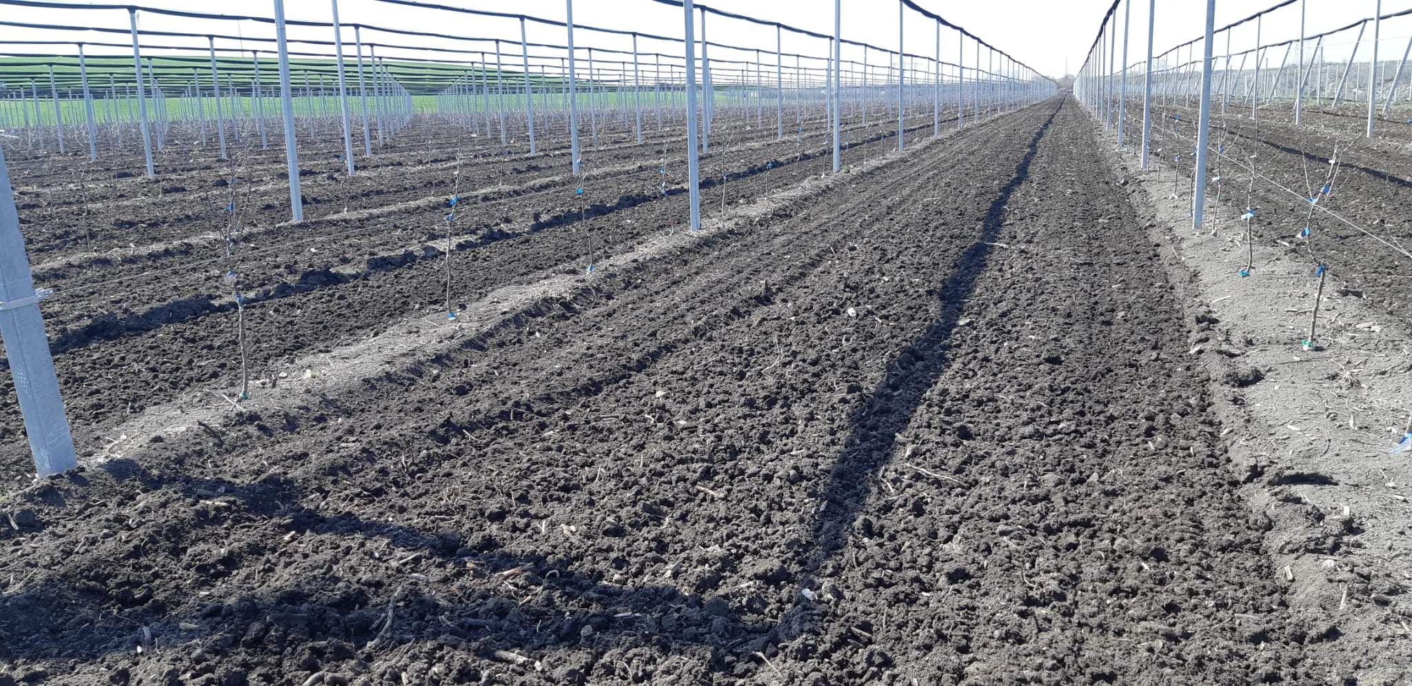 Utilaj în timpul lucrărilor