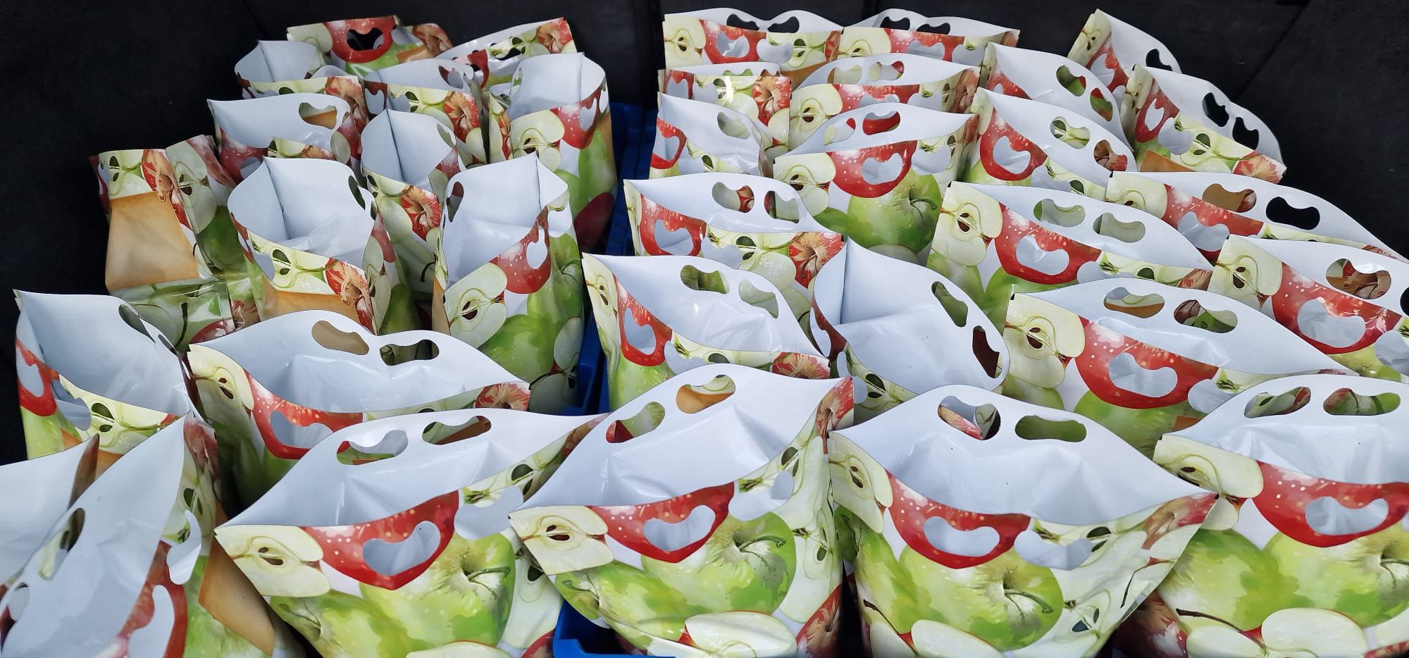 Primele recolte BiodariantyFarm